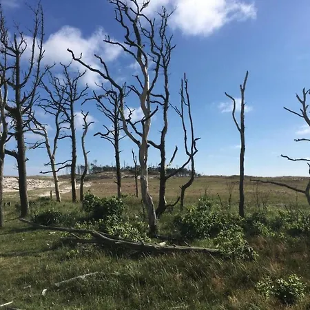 In Near Forest & Casa de Férias Schoorl