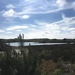 In Near Forest &