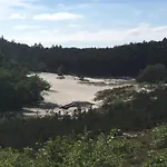 In Near Forest &