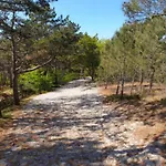 In Near Forest & * Schoorl
